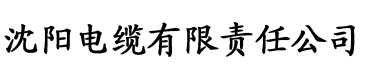 国产污污网站电缆厂logo